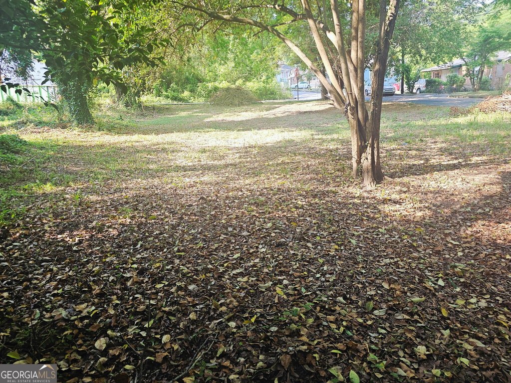 Picture 4