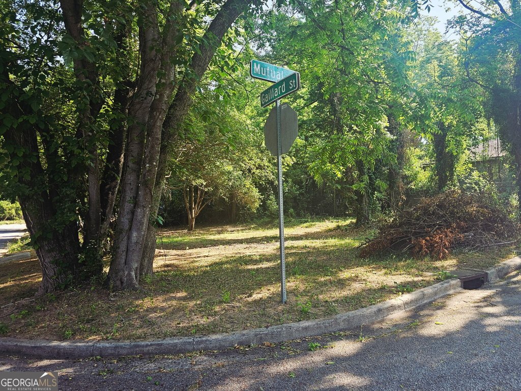 Picture 9