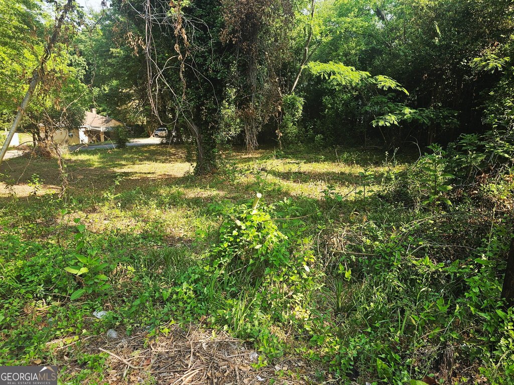 Picture 2