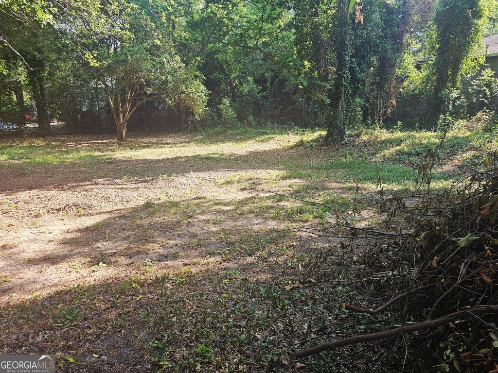 Picture 3