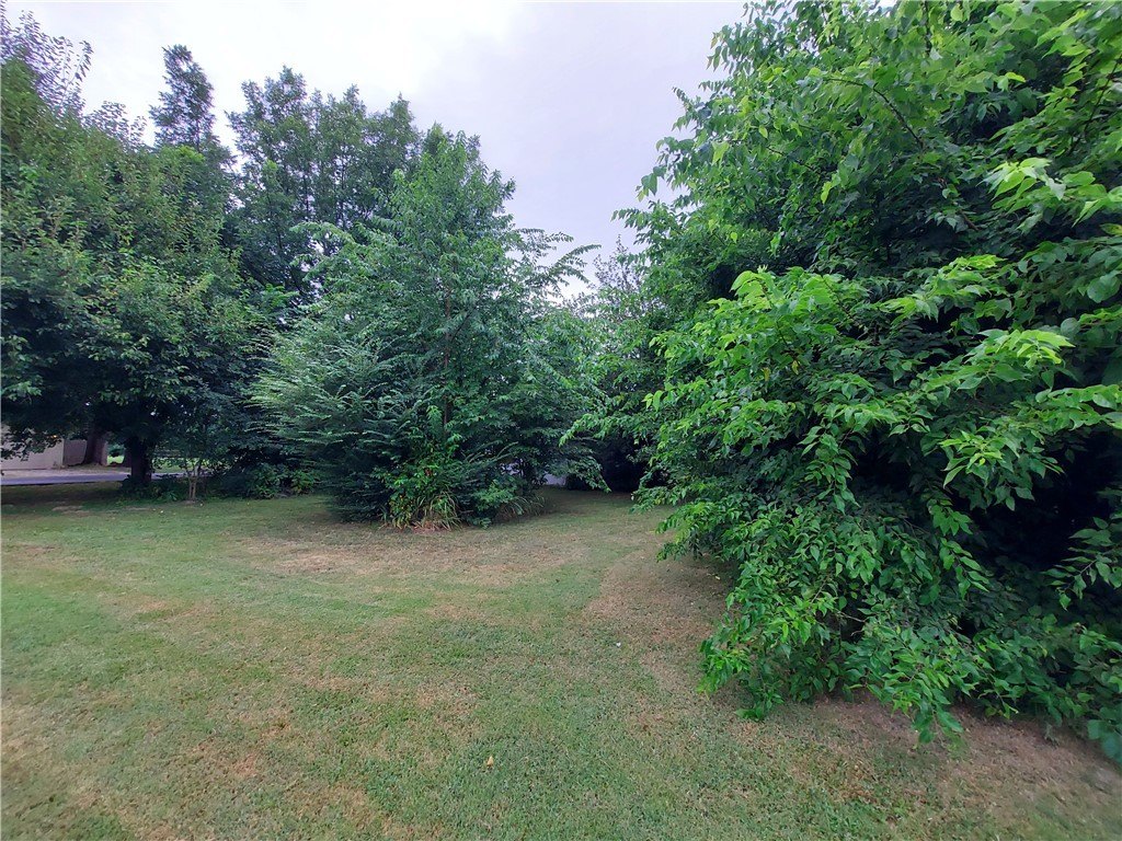 Picture 14