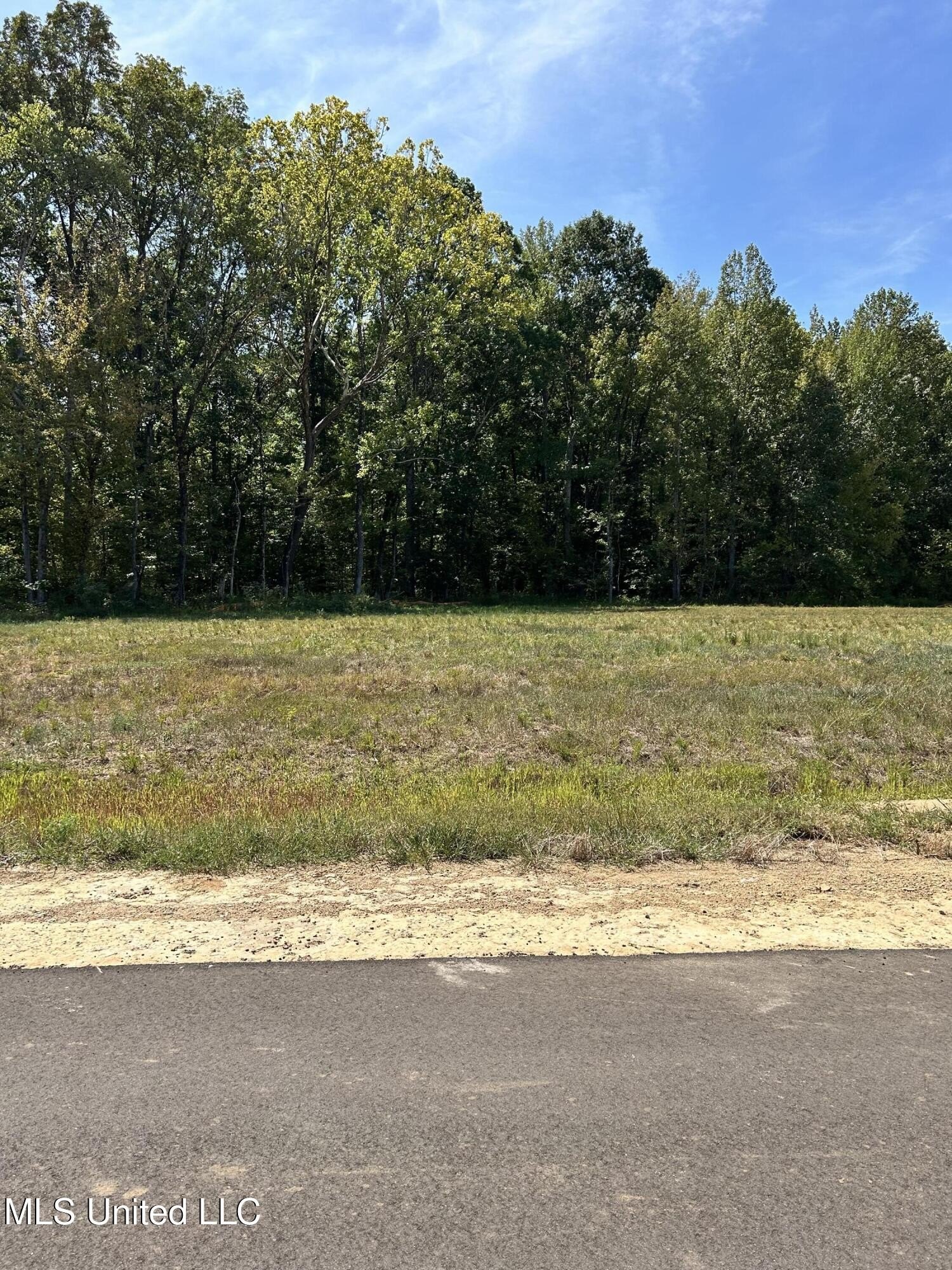 Land For Sale in Byhalia