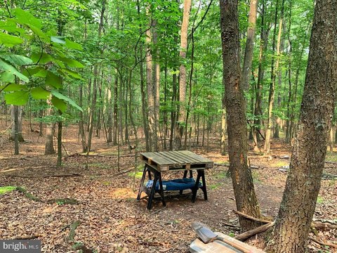 Land, PAW PAW, WV