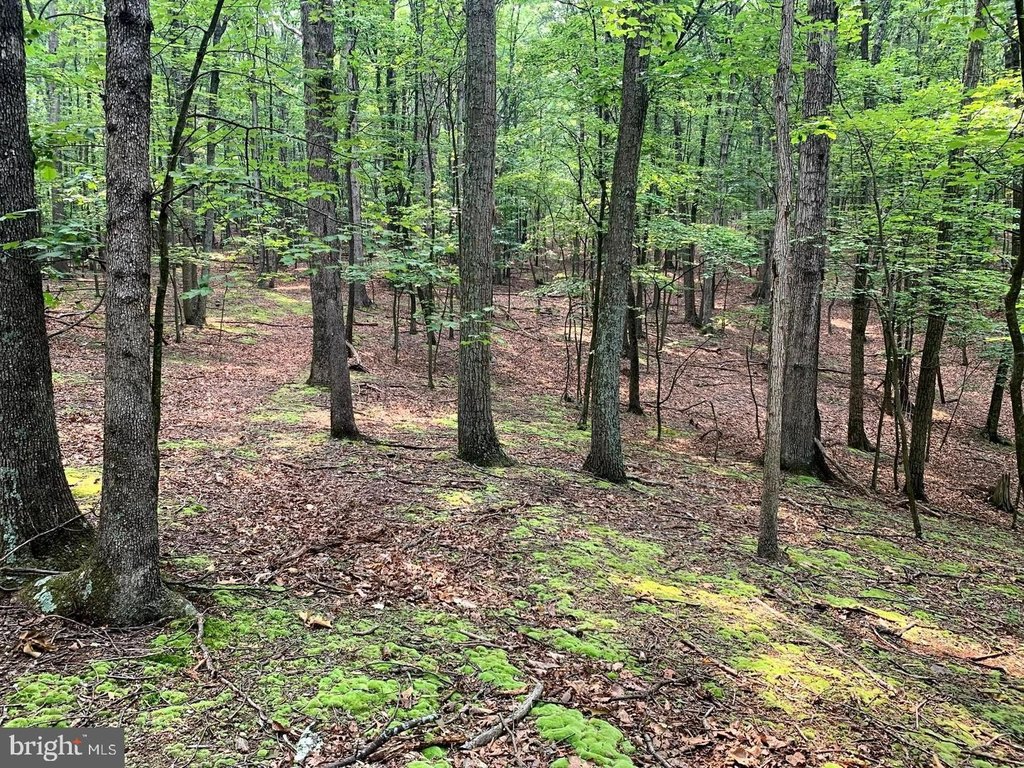 Picture 19