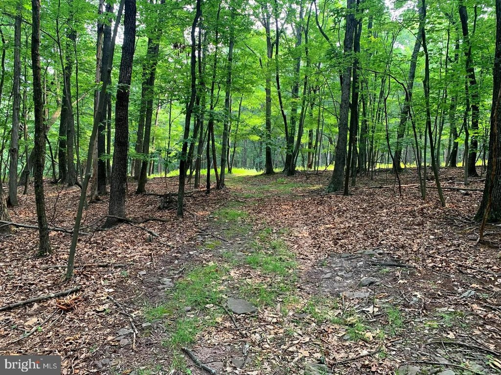 Picture 23