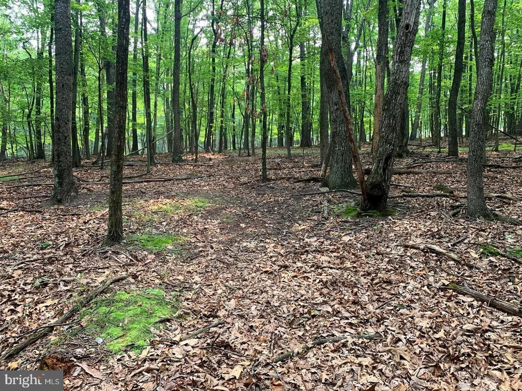 Picture 21