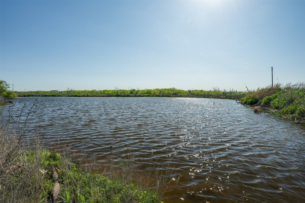 Picture 35