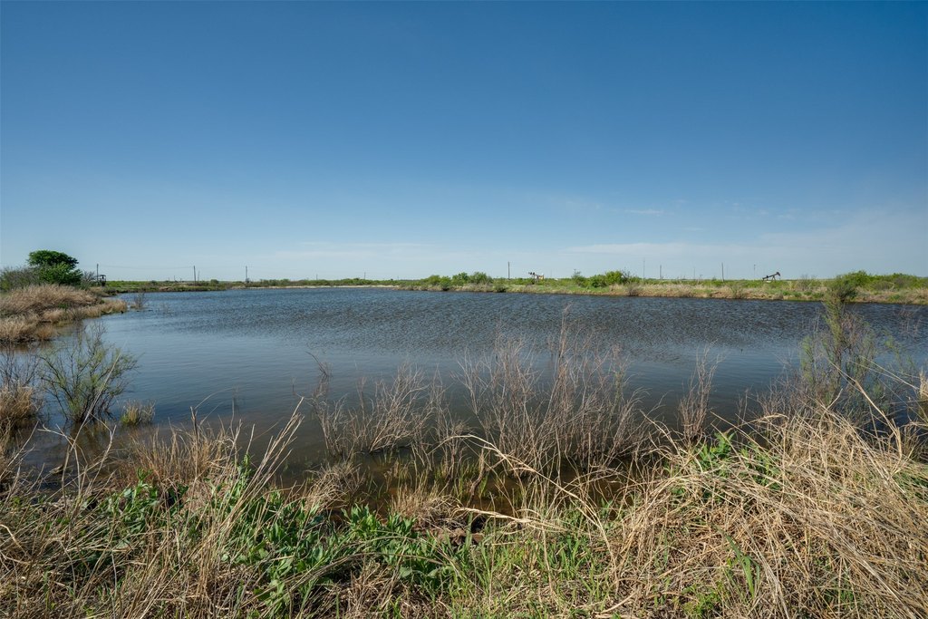 Picture 34
