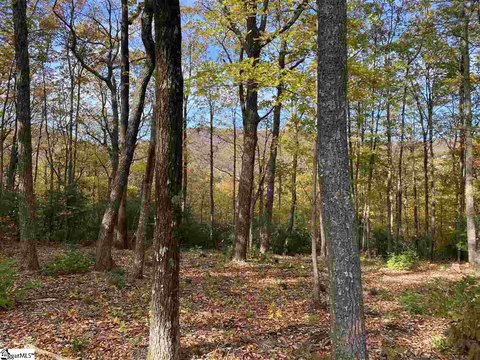 LAND - Travelers Rest, SC