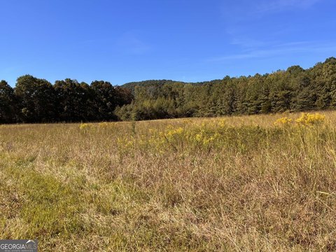 Land, Lyerly, GA