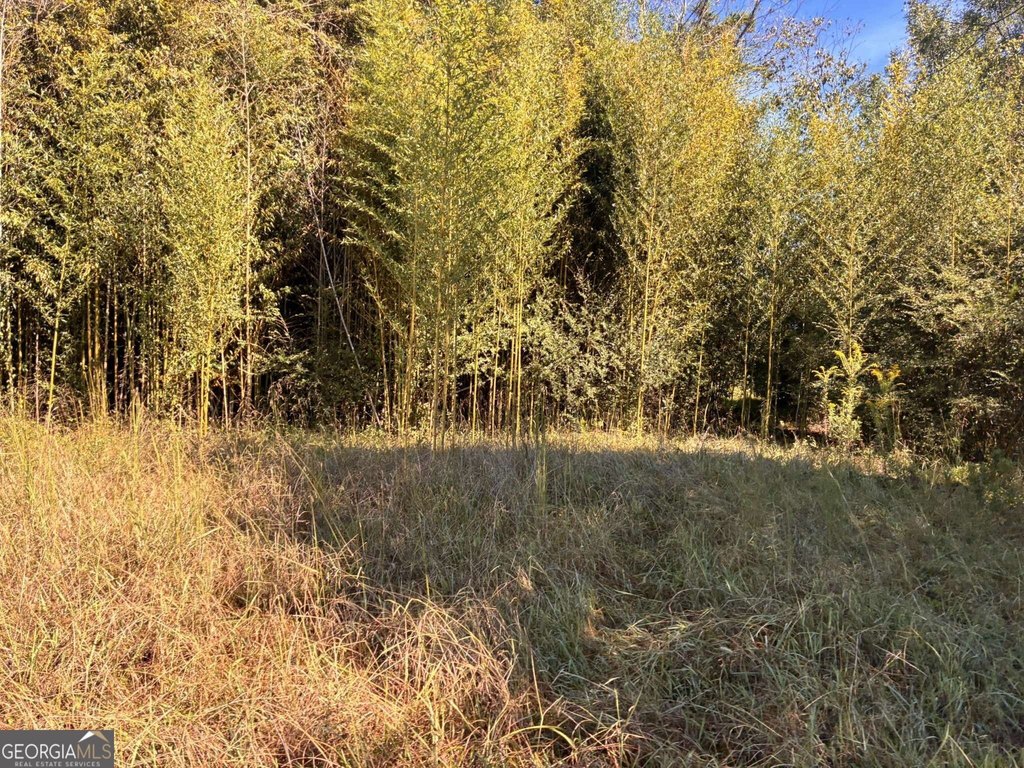 Picture 6