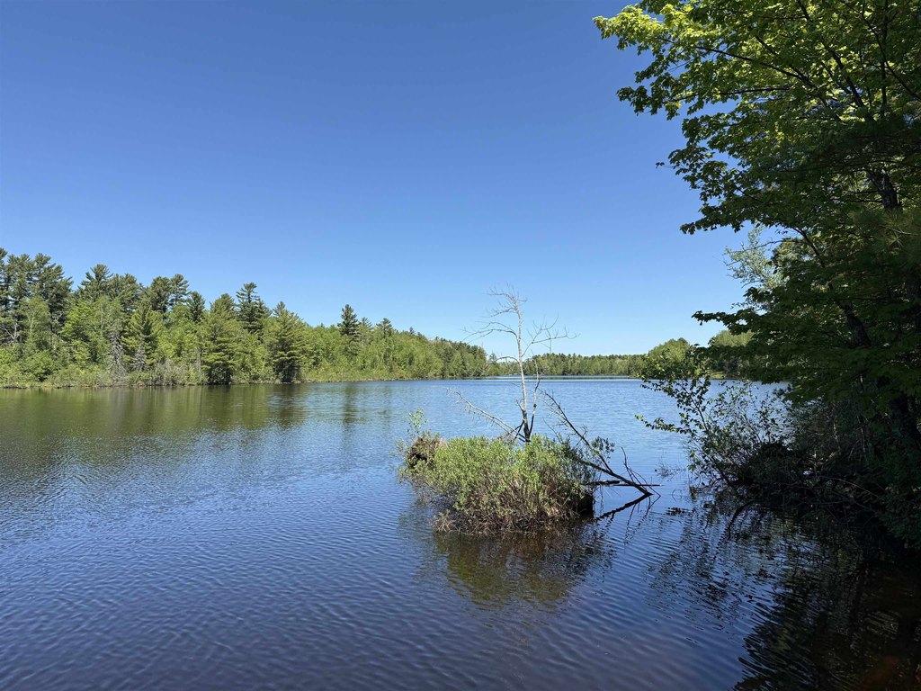 Picture 19