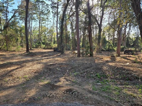 Cleared Residential Lot in Lake Community