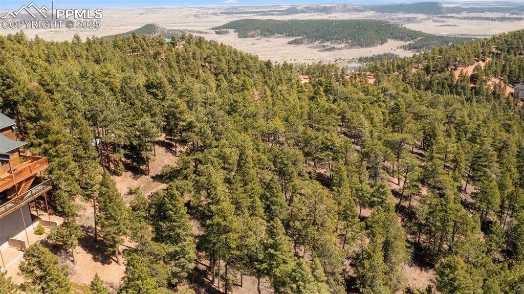 Larkspur Land with Mountain Views