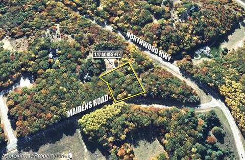 Wooded Land Near Lake Michigan