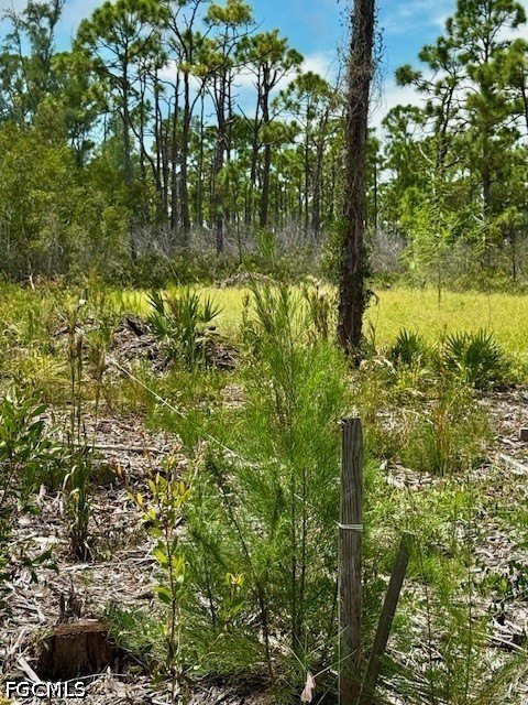 Picture 6