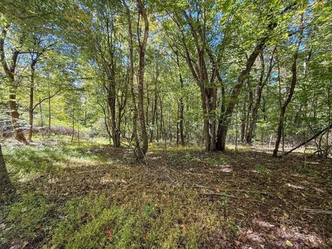 Land, Meadows of Dan, VA