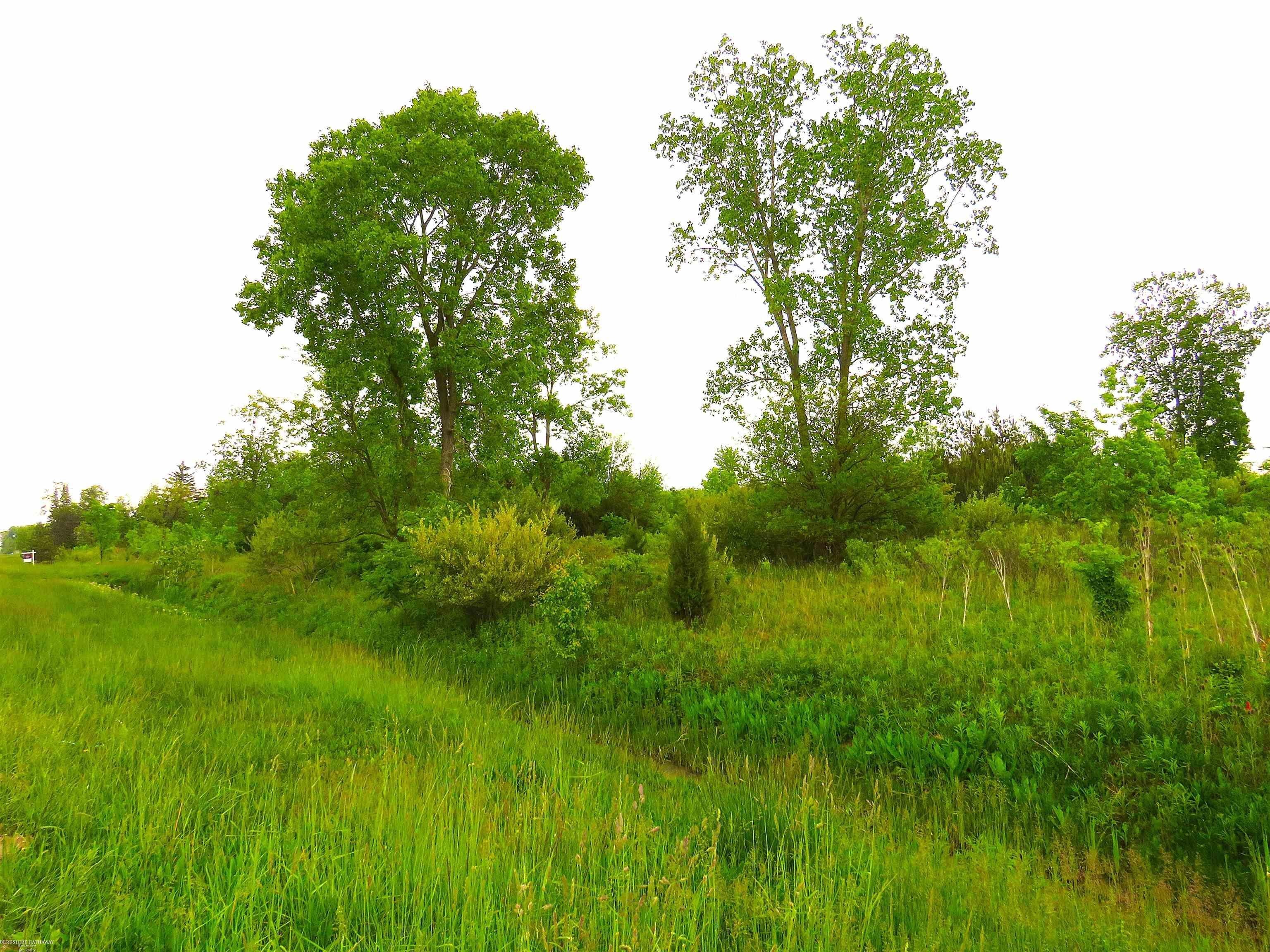Commercial Land on Gratiot Avenue