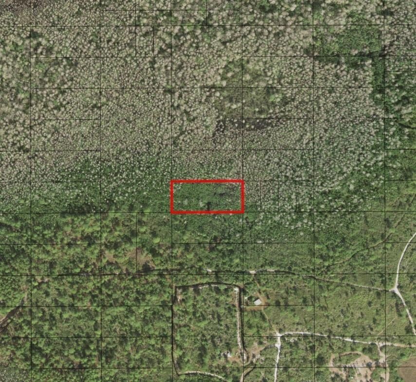 Land for Hunting and Camping