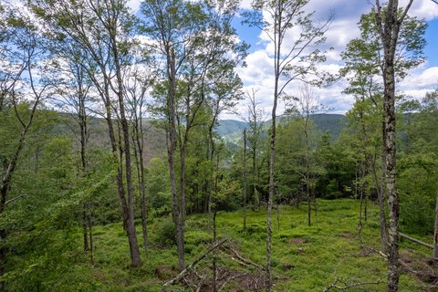 Wooded Recreational Land with Trails