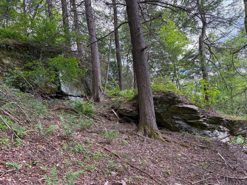 Picture 23