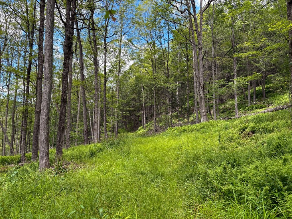 Picture 25