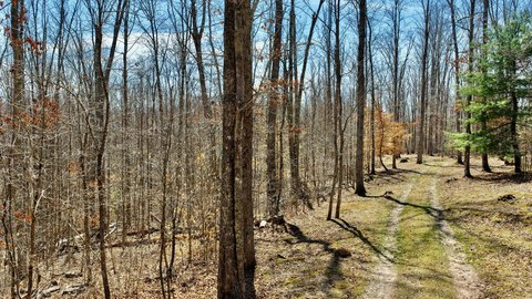 Lewisburg, WV 10-Acre Land