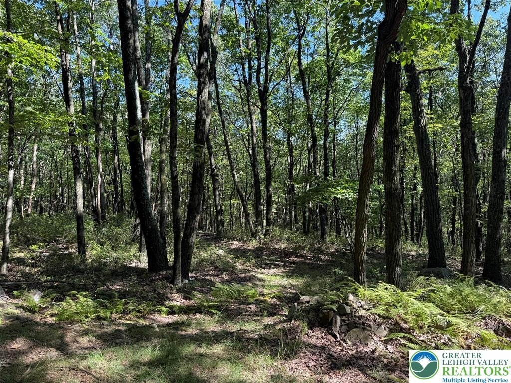 Wooded Acres Mountain Escape