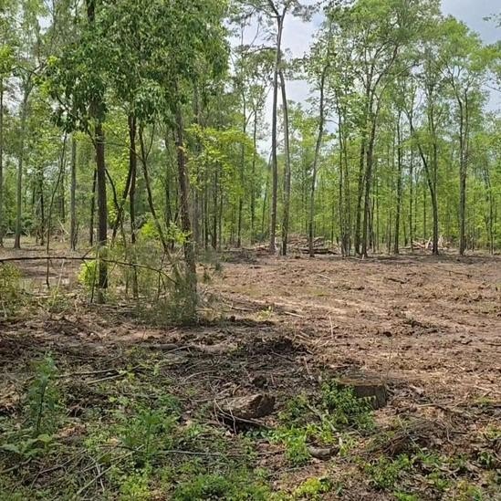East Texas Land with River Access