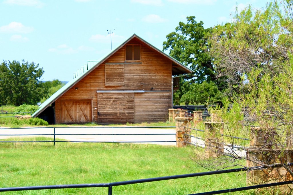 Picture 12