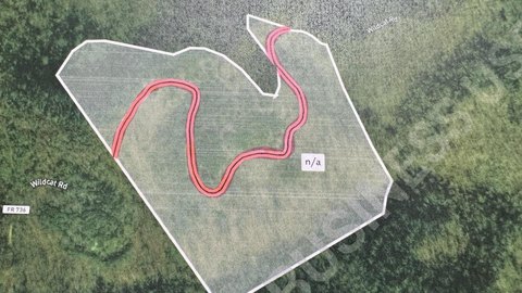 33 Acres Near National Forest