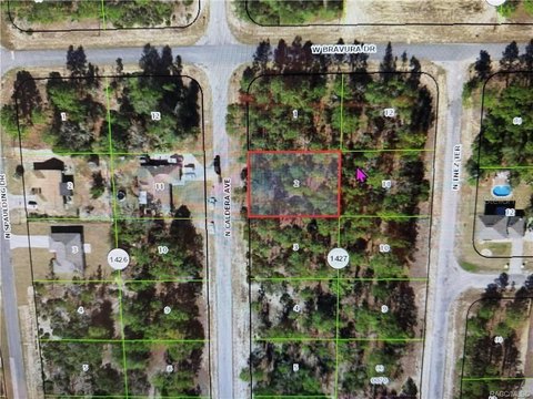 Land, CITRUS SPRINGS, FL