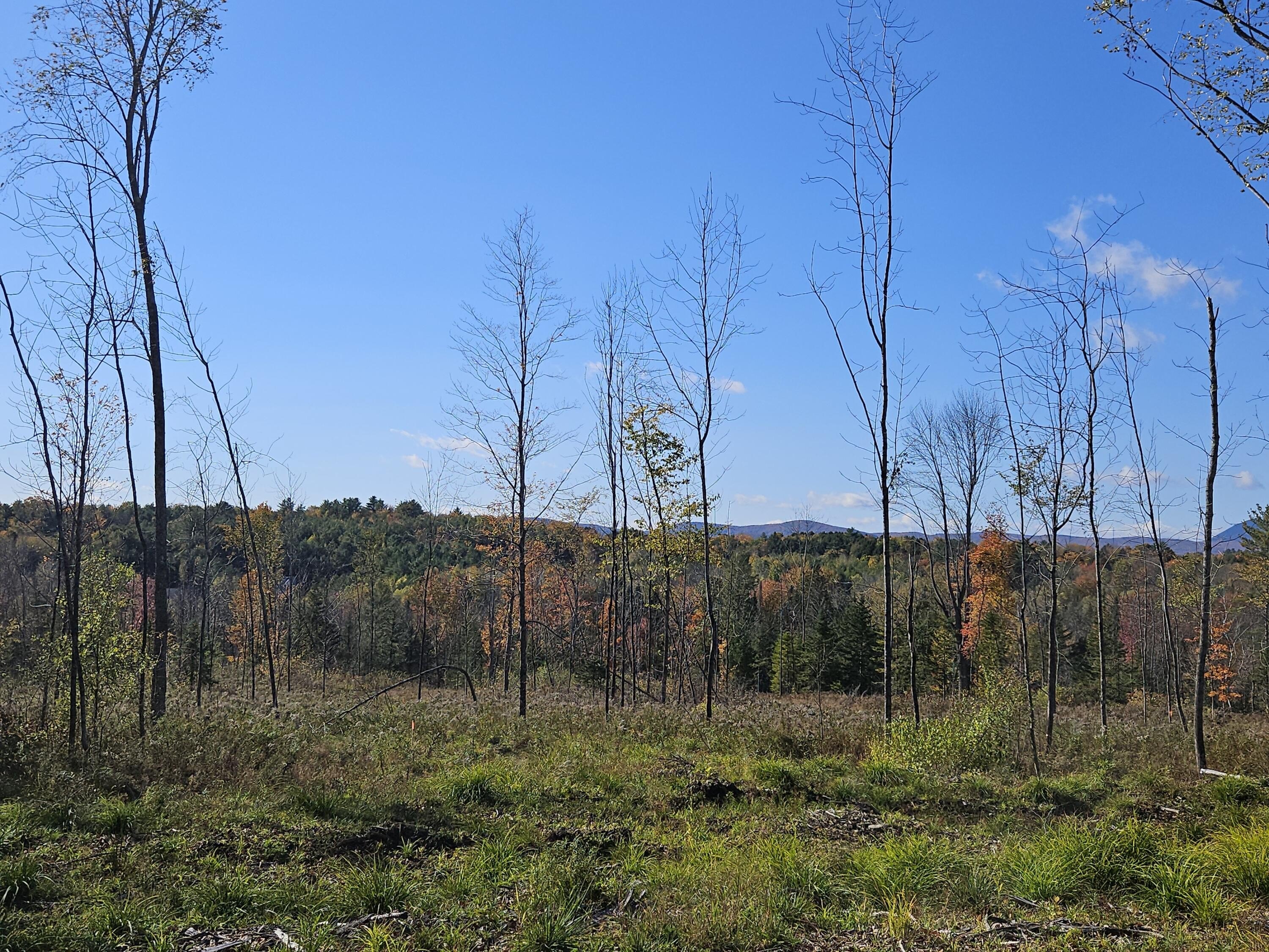 Farmington Land with Subdivision Potential
