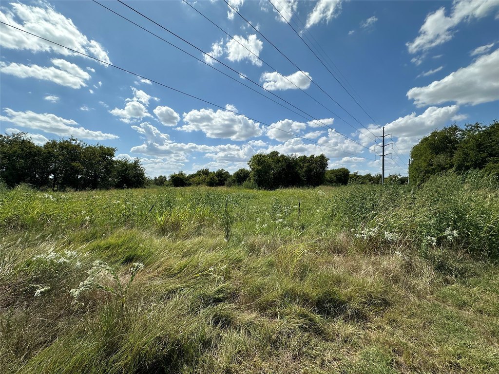 Picture 19