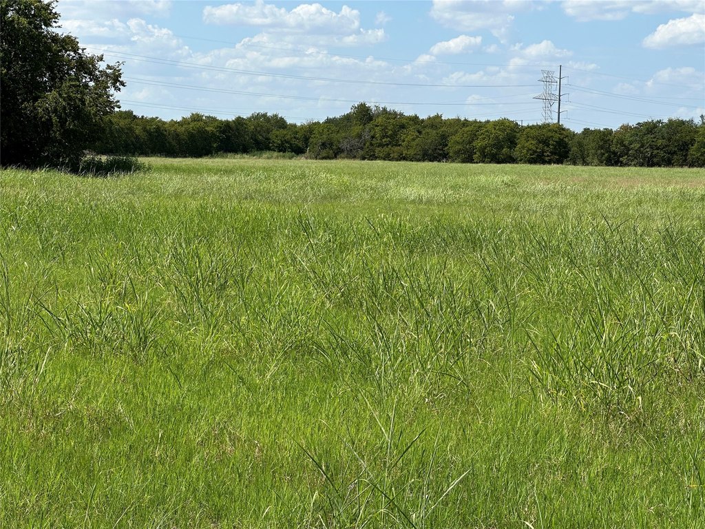 Picture 21
