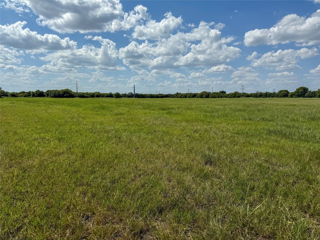 Picture 14