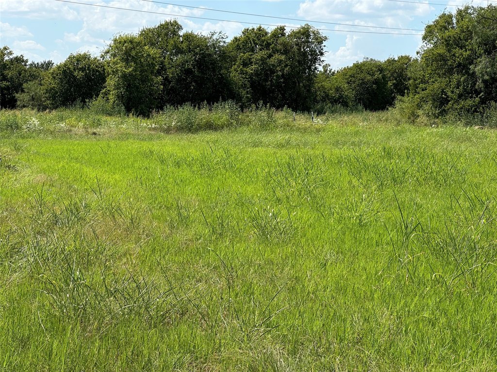 Picture 18