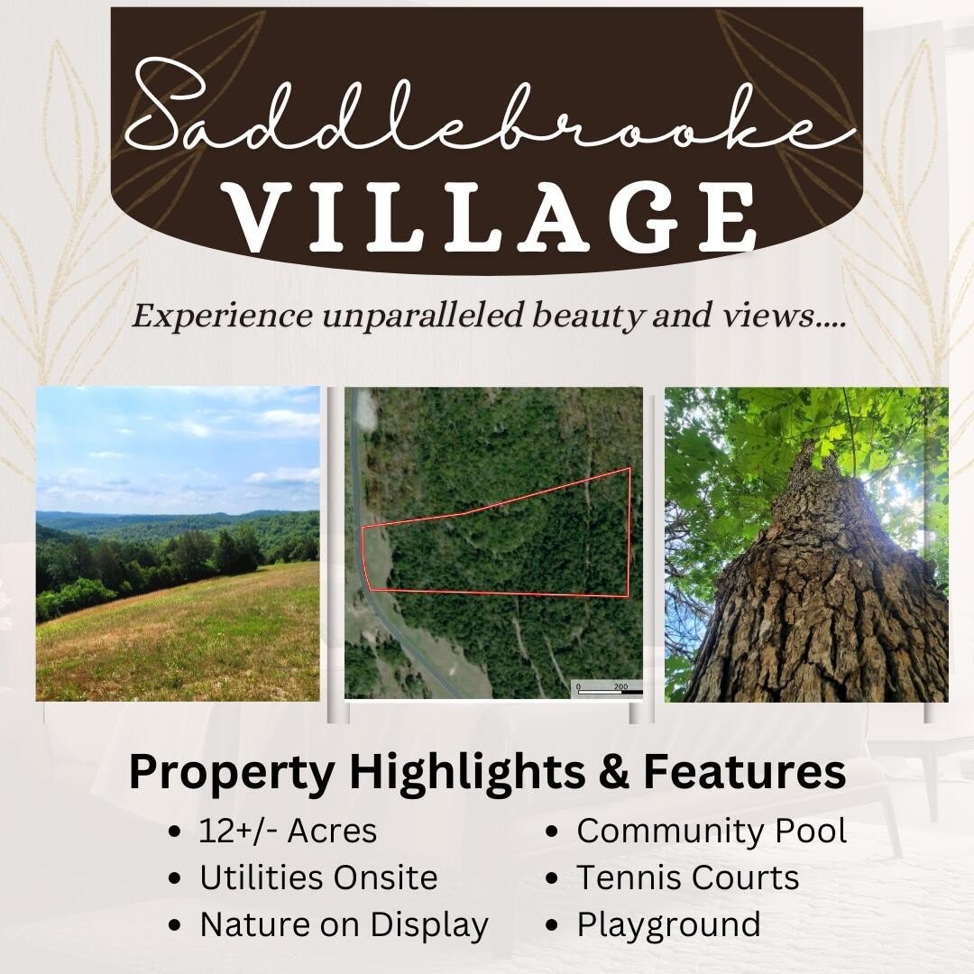 Saddlebrooke Acreage with Stunning Views