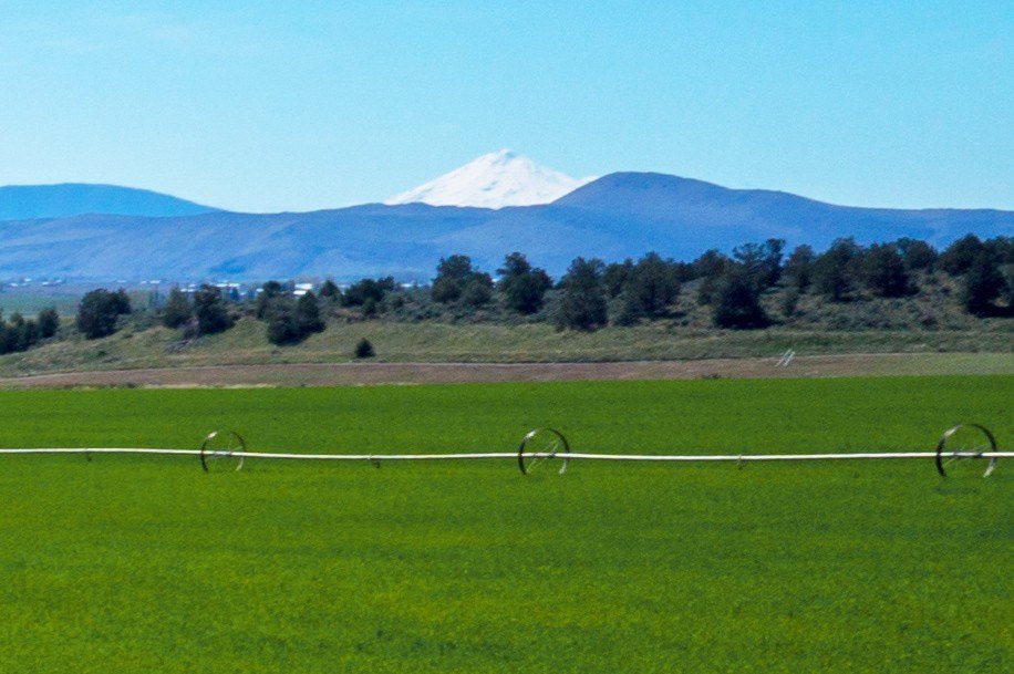 Picturesque Vacant Land Near Malin