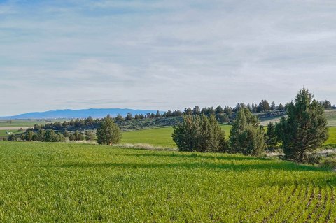 Vacant Farmland and Hunting Parcel