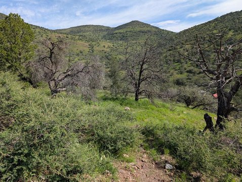 Fort Davis Land with Views