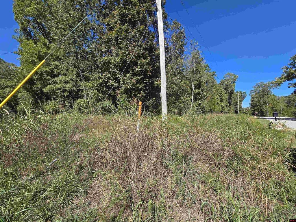 Picture 21