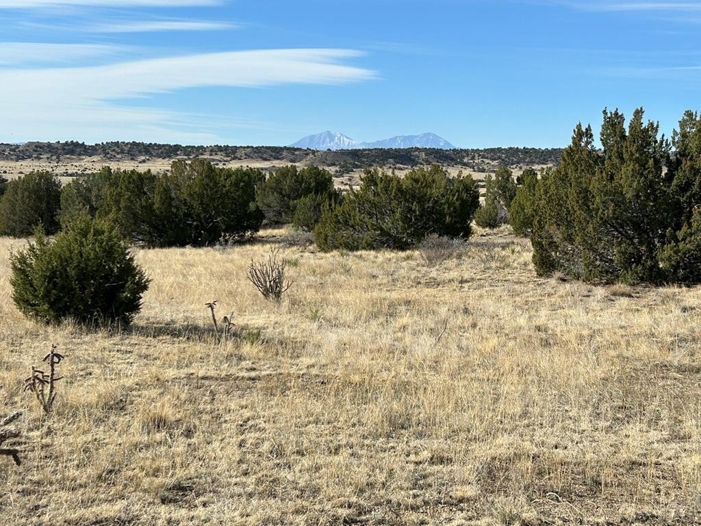 LAND - Rye, CO