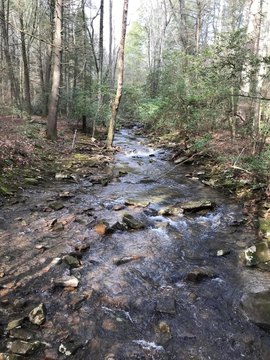 Dunlap, TN Wooded Lot