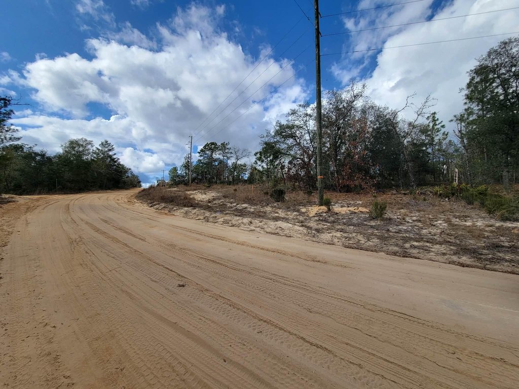 Picture 6