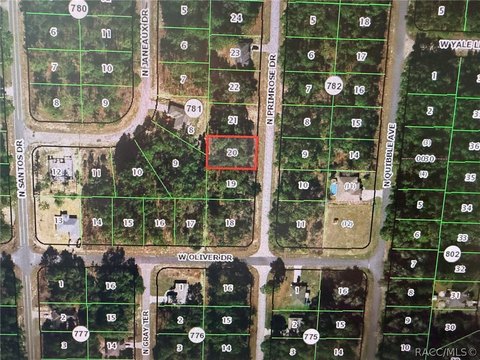 LAND - Citrus Springs, FL