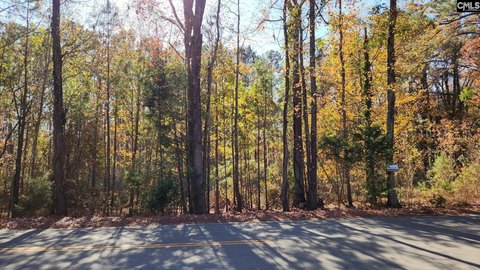 Residential Land Near Lake Murray