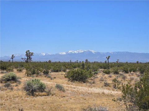 Adelanto Land Investment Opportunity