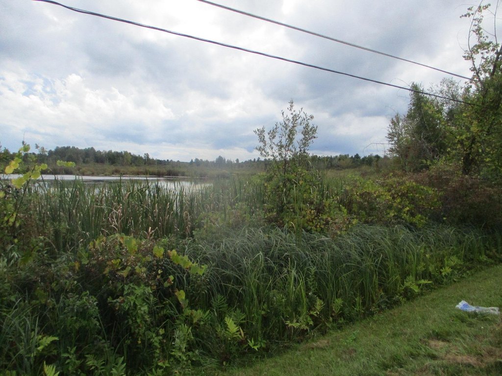 Picture 8