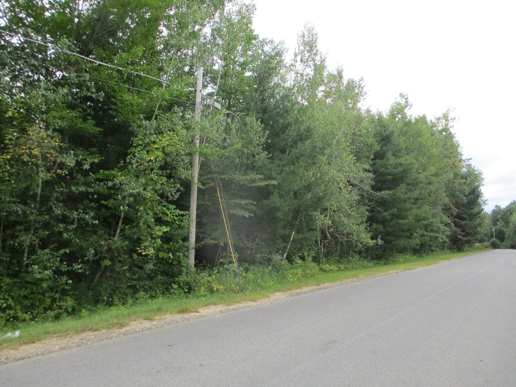 Picture 7